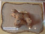 МУЗЕЙ ТРИПІЛЬСЬКОГО РОЗКОПУ