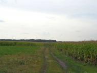 Осіч - Останні фото