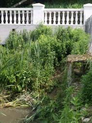 КАМ'ЯНЕЦЬ-ПОДІЛЬСЬКИЙ 2020