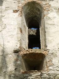 СТАРОКОСТАНТИНІВ 2020