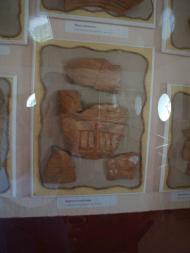 МУЗЕЙ ТРИПІЛЬСЬКОГО РОЗКОПУ