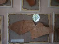 МУЗЕЙ ТРИПІЛЬСЬКОГО РОЗКОПУ