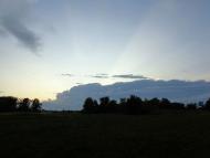 Митченки - Останні фото