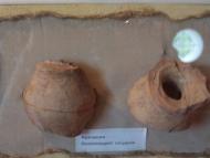 МУЗЕЙ ТРИПІЛЬСЬКОГО РОЗКОПУ