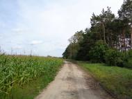 Стрільники - Останні фото