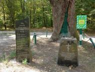 Очима туриста, фото Андрія Сніжка