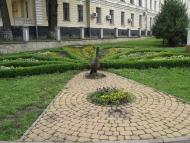 КАМ'ЯНЕЦЬ-ПОДІЛЬСЬКИЙ 2020