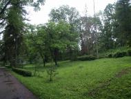 ПАЛАЦ ОРЛОВСЬКИХ