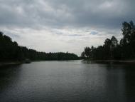 ТЕТЕРІВ У ДЕНИШАХ