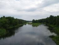 ТЕТЕРІВ У ДЕНИШАХ