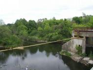 ТЕТЕРІВ У ДЕНИШАХ