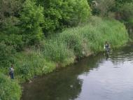 ТЕТЕРІВ У ДЕНИШАХ