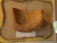 МУЗЕЙ ТРИПІЛЬСЬКОГО РОЗКОПУ