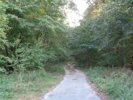 Очима туриста, фото Андрія Сніжка