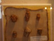 МУЗЕЙ ТРИПІЛЬСЬКОГО РОЗКОПУ