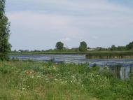 СТАРОКОСТАНТИНІВ 2020