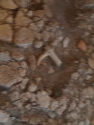 МУЗЕЙ ТРИПІЛЬСЬКОГО РОЗКОПУ