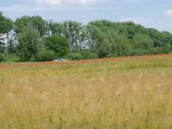 Старокостянтинів - Останні фото