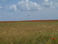 СТАРОКОСТАНТИНІВ 2020