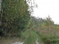 Очима туриста, фото Андрія Сніжка