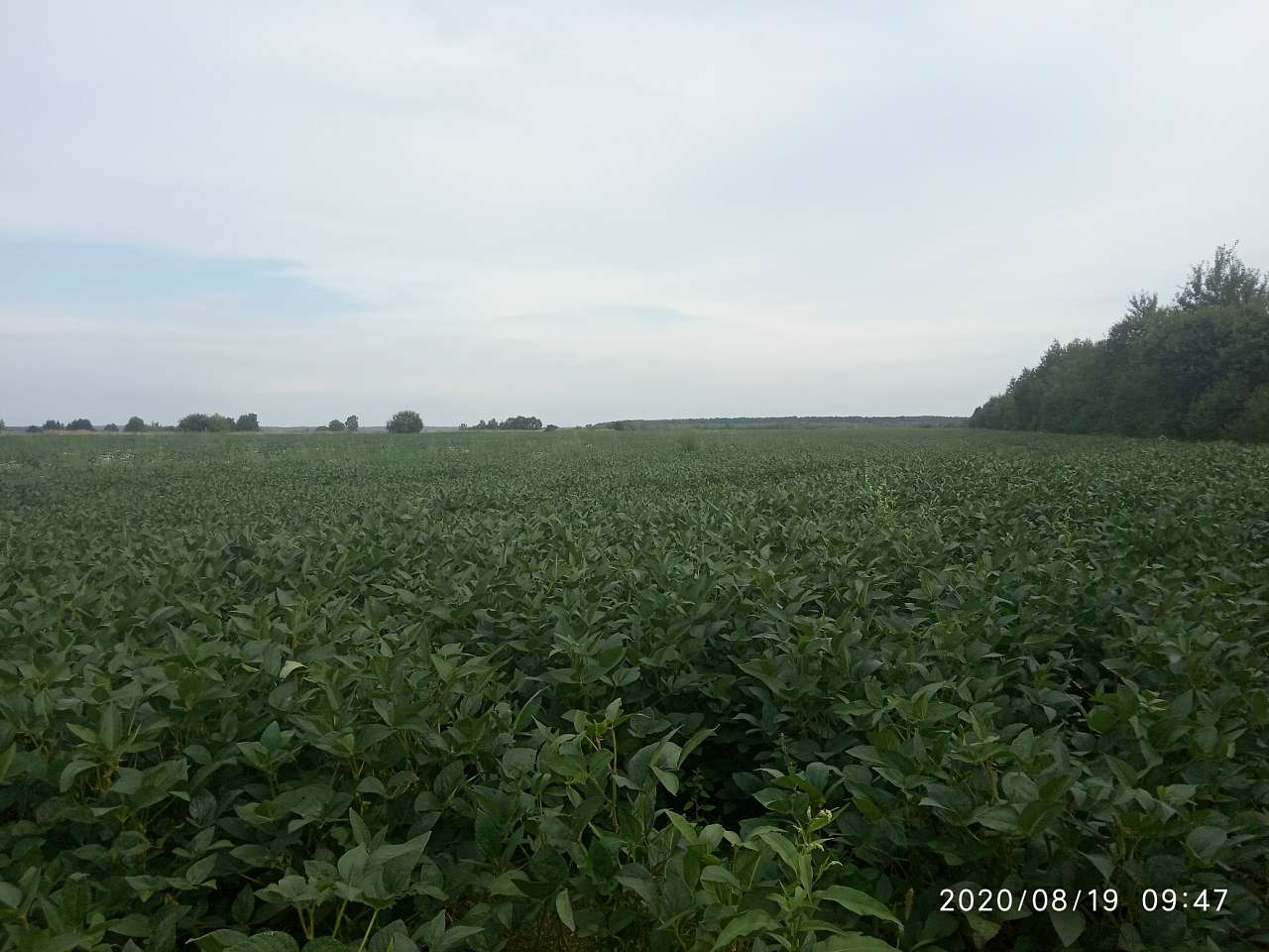 Краєвид - Колодниця