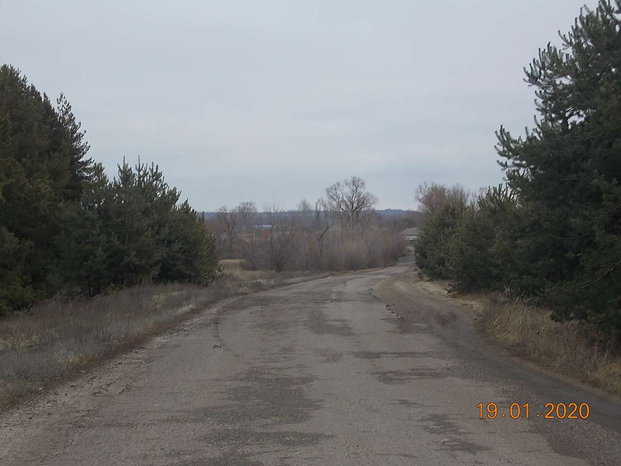 2020 - Сосновка