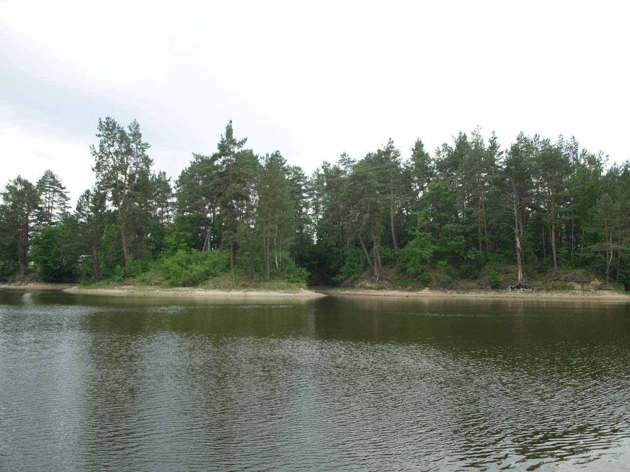 ТЕТЕРІВ У ДЕНИШАХ - Дениші