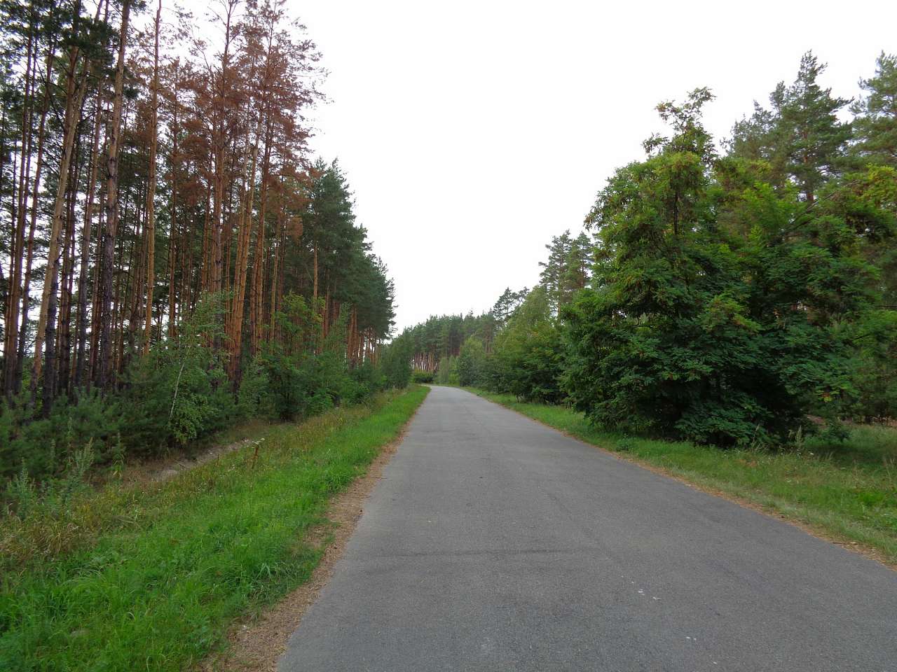 Очима туриста, фото Андрія Сніжка - Осіч