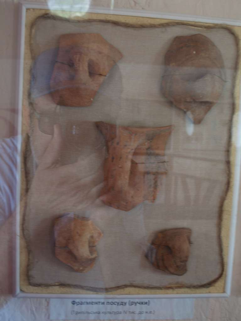 МУЗЕЙ ТРИПІЛЬСЬКОГО РОЗКОПУ - Буша