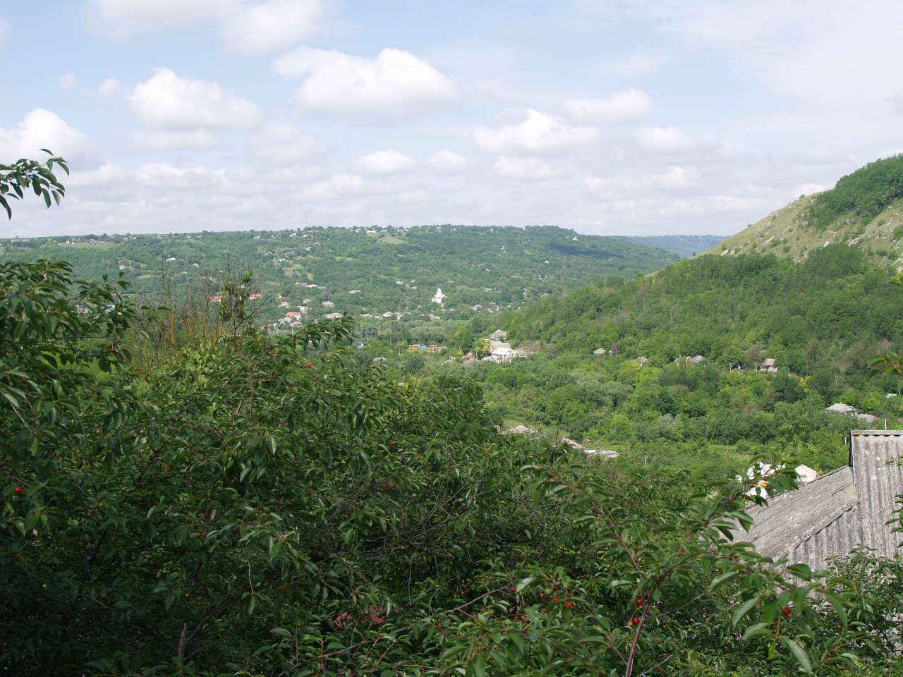 ПОДІЛЬСЬКІ ТОВТРИ - Могилів-Подільський