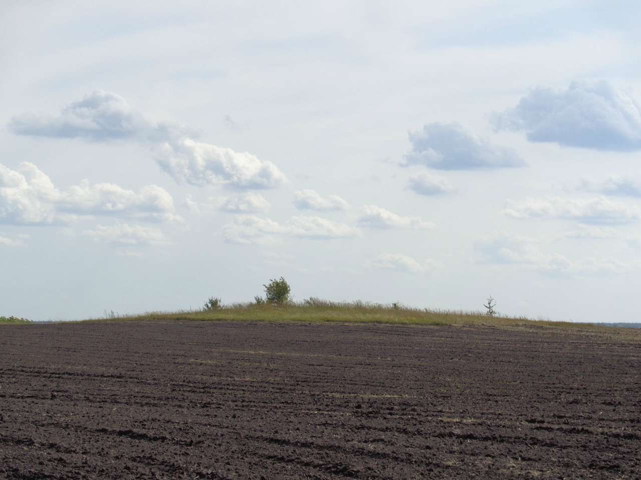 Очима туриста, фото Андрія Сніжка - Петрівка
