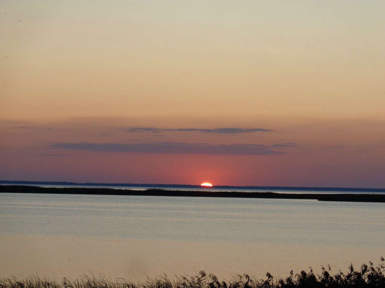 Очима туриста, фото Андрія Сніжка - Осещина