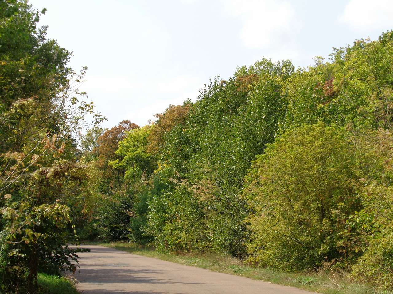 Очима туриста, фото Андрія Сніжка - Заньки