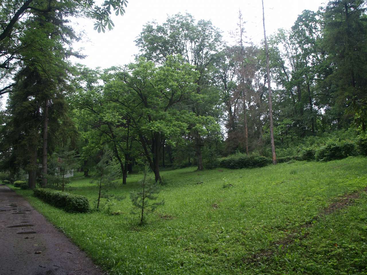 ПАЛАЦ ОРЛОВСЬКИХ - Маліївці