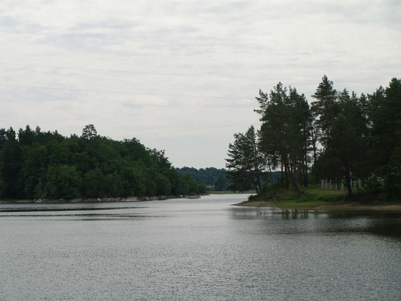 ТЕТЕРІВ У ДЕНИШАХ - Дениші
