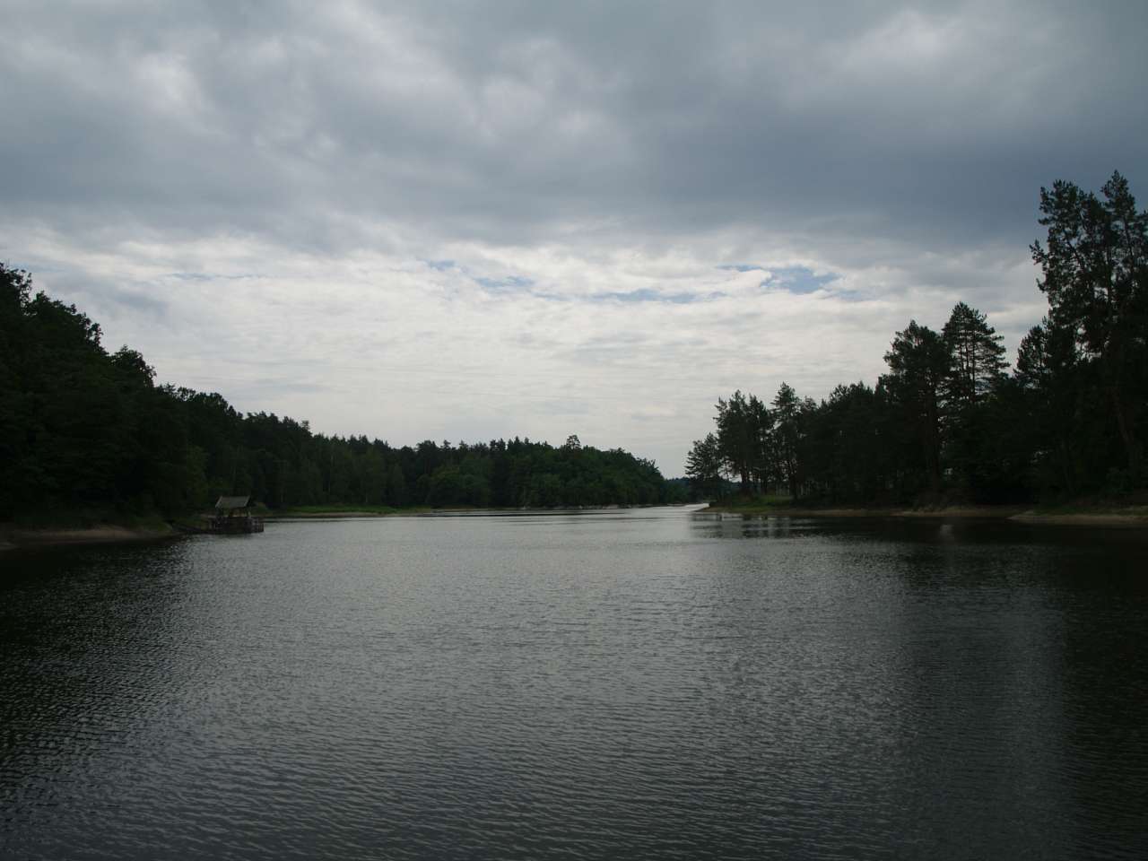 ТЕТЕРІВ У ДЕНИШАХ - Дениші