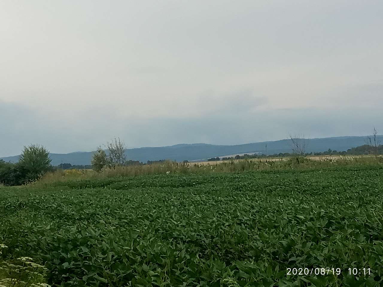 Краєвид - Колодниця