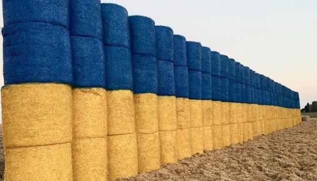 Рубрика 15 год. · На полі в Тернопільській об - Звиняч