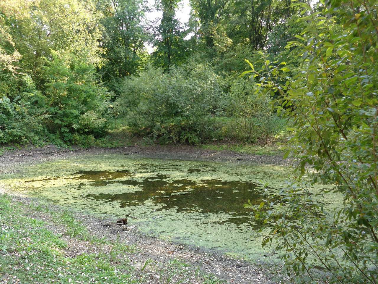 Музей М. Заньковецької, фото Андрія Сніжка - Заньки