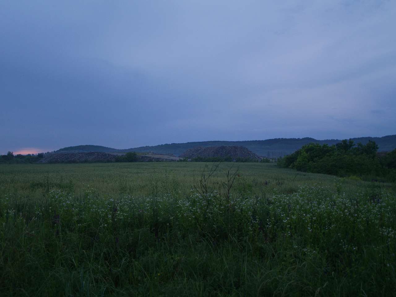 ВІД ДНІСТРОВСЬКОЇ ДО НИЖНЬОДНІСТРОВСЬКОЇ ГЕС - Козлів