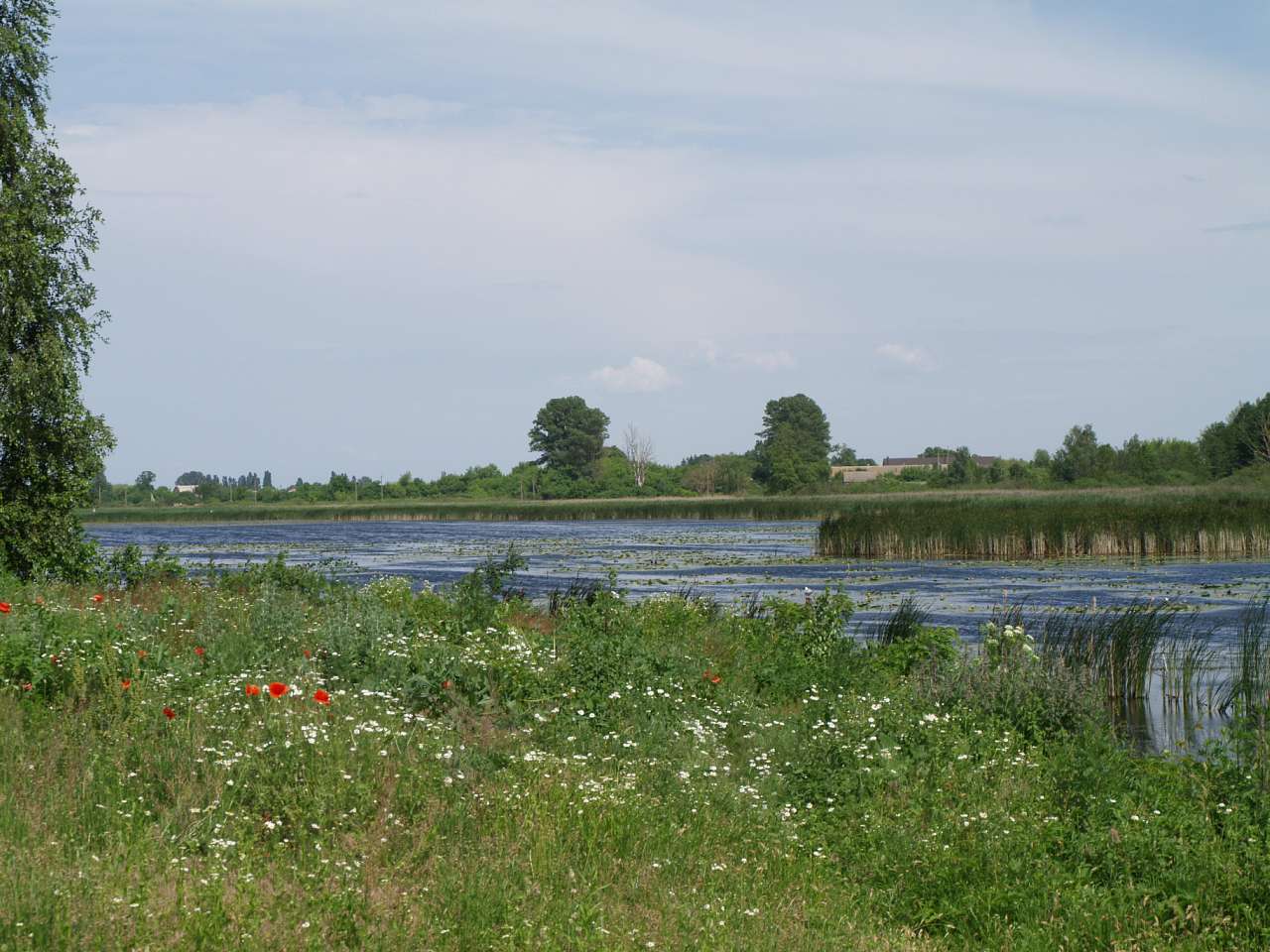 СТАРОКОСТАНТИНІВ 2020 - Старокостянтинів