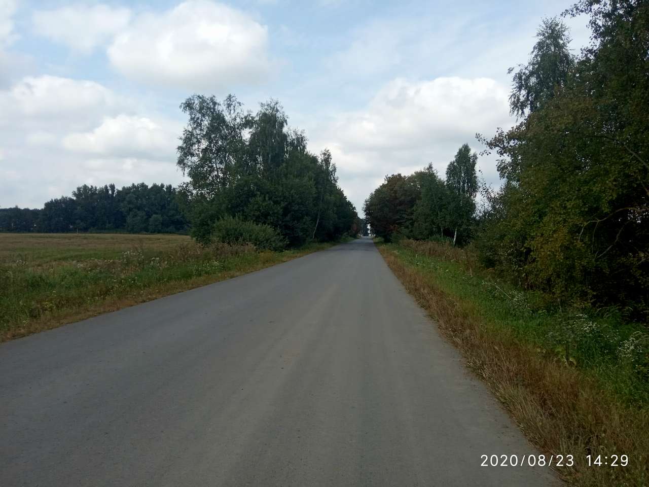 Краєвид - Vivnya