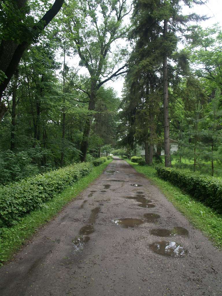 ПАЛАЦ ОРЛОВСЬКИХ - Маліївці