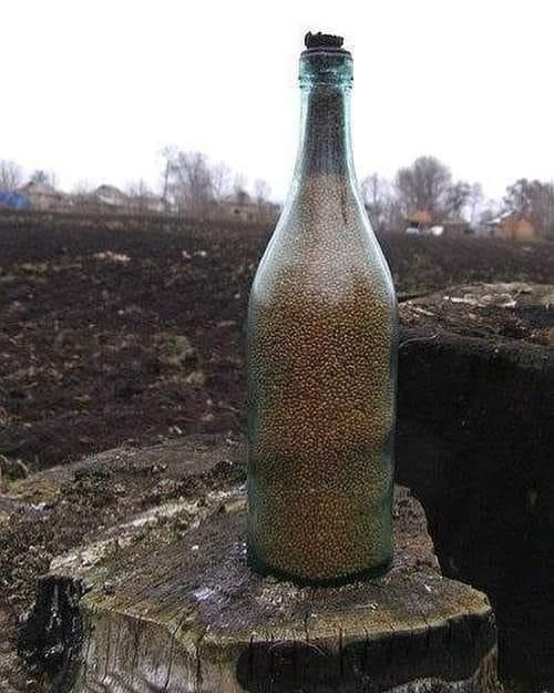 Пляшка із зерном голодного 1932-року Під час  - Великі Крушлинці