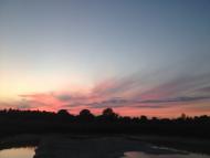 Бобли - Останні фото