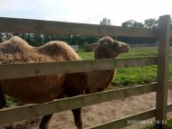 Зоопарк Лімпопо