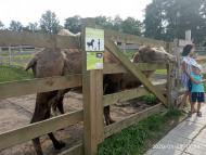 Зоопарк Лімпопо