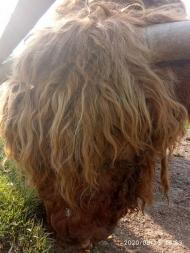 Зоопарк Лімпопо