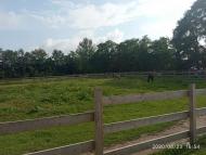 Зоопарк Лімпопо