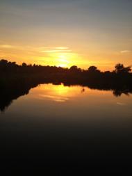 Бобли - Останні фото